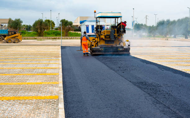 Best Local Driveway Pavers  in Clarcona, FL