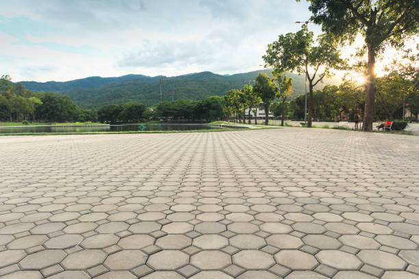 Best Driveway Repair Near Me  in Clarcona, FL