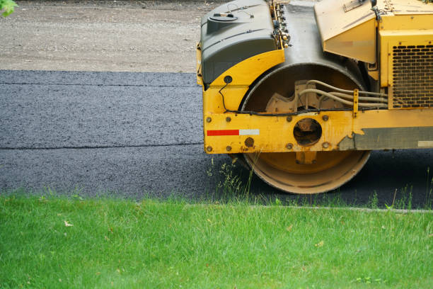 Best Driveway Paving Contractor  in Clarcona, FL